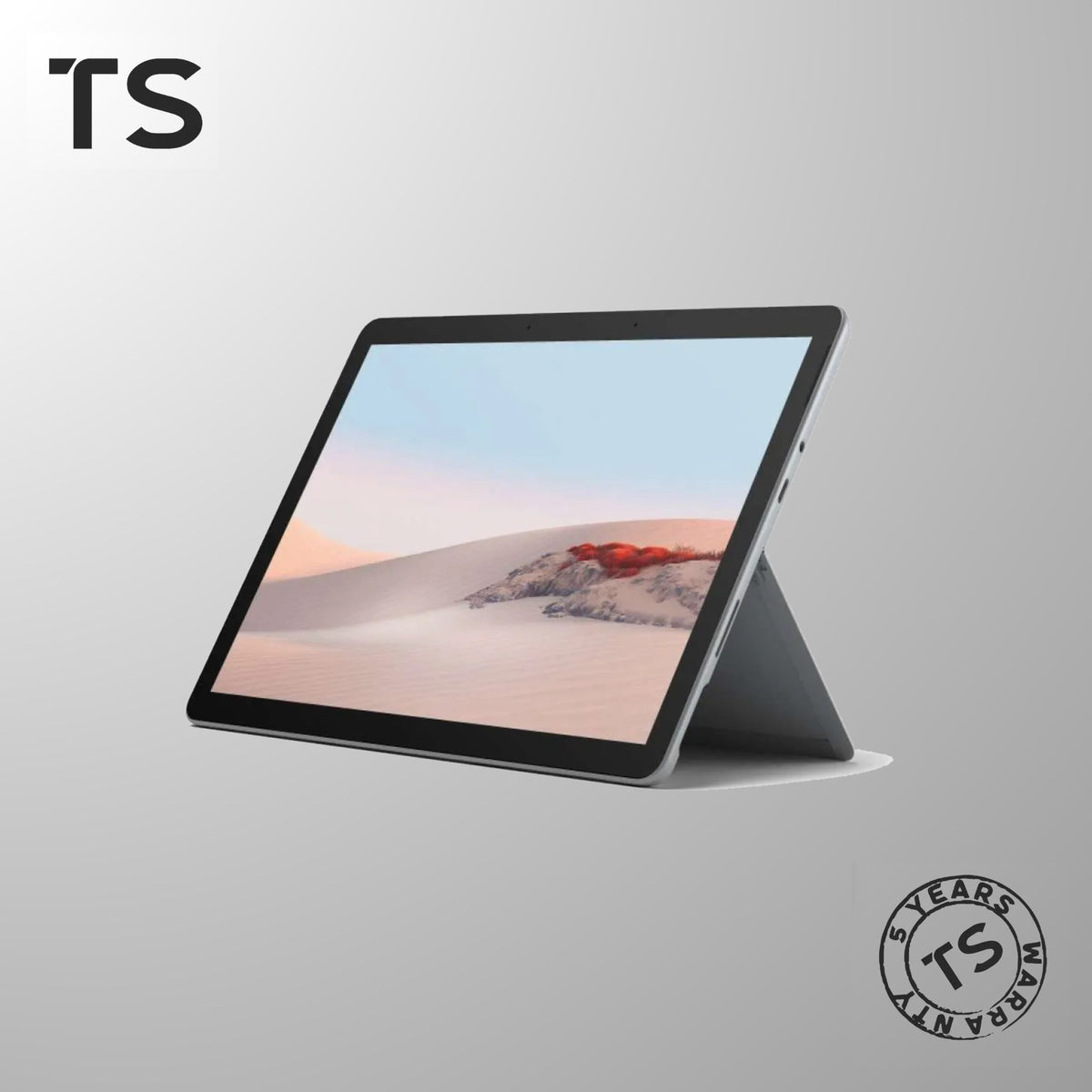 Surface Go 2 Platinum